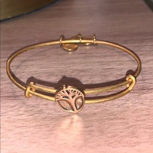 Alex and Ani bracelet